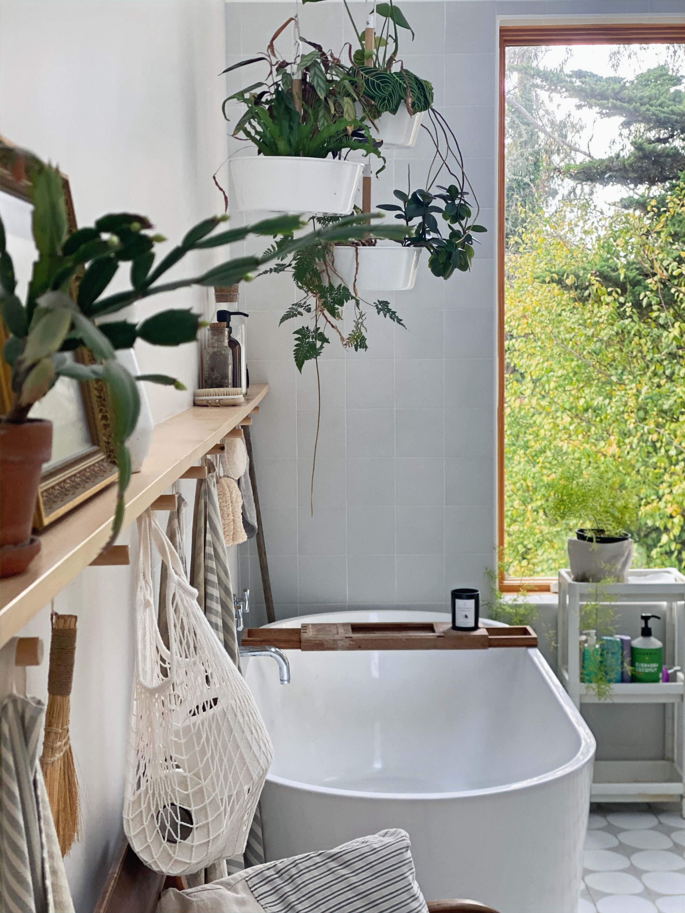 Bathroom window detail with natural light and planting